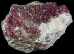 Roselite and Calcite Crystals on Dolomite - Morocco #74301-1